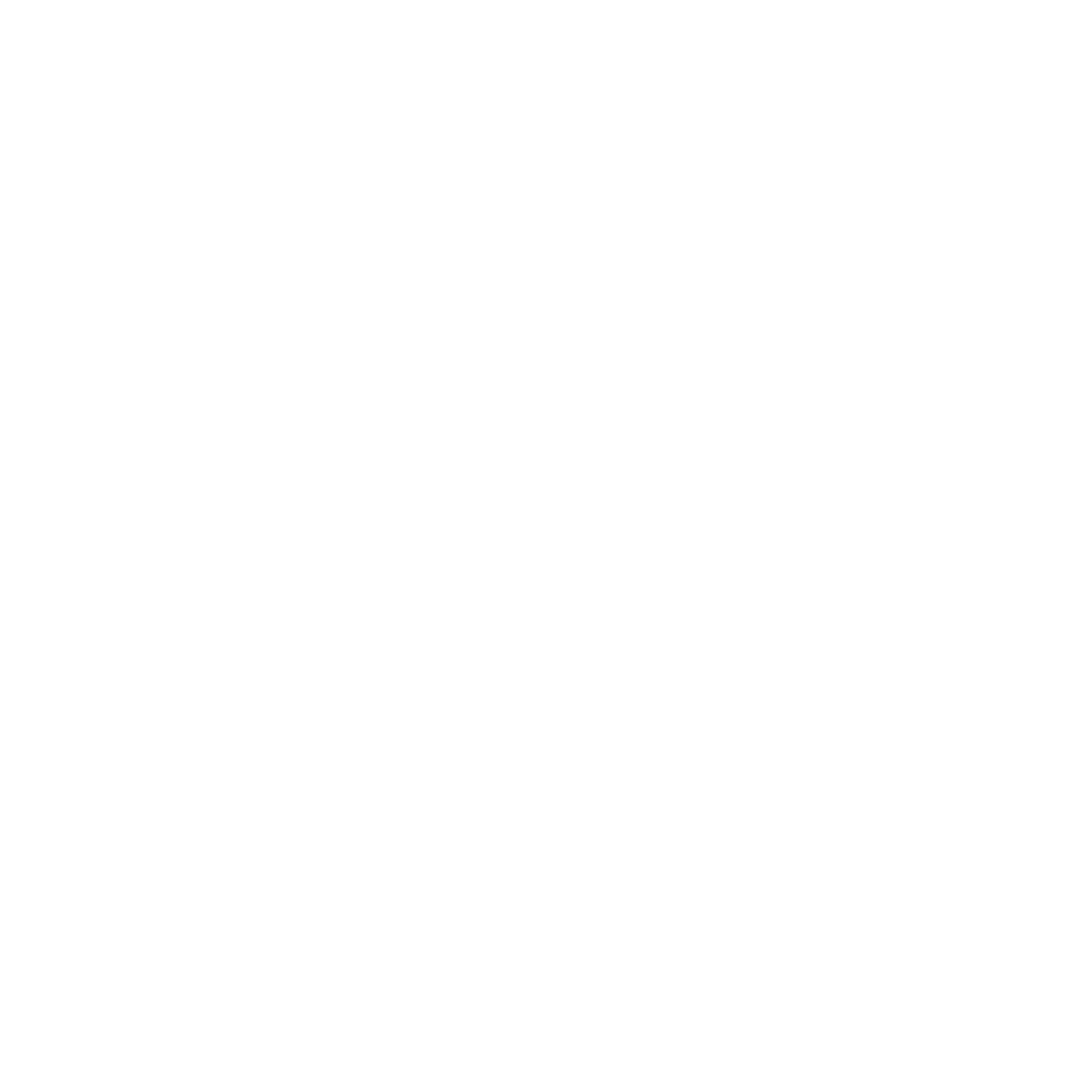 IBEX DATA Logo